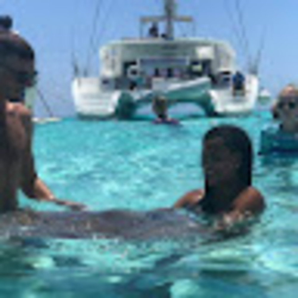 Meet your Posher, Rosa